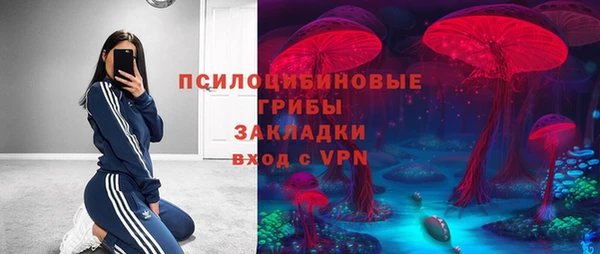 мдпв Россошь