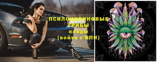 мдпв Россошь