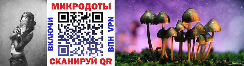 где купить   Балашиха  даркнет Telegram  Псилоцибиновые грибы Cubensis 